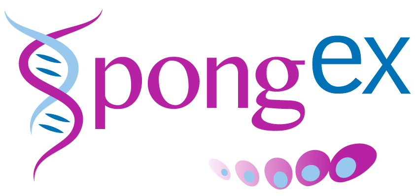 spongex_logo.png